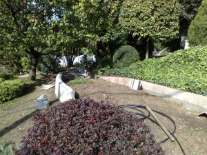 kert&eacutep&iacutet&eacutes