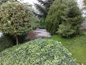 terasz k�sz�t�se